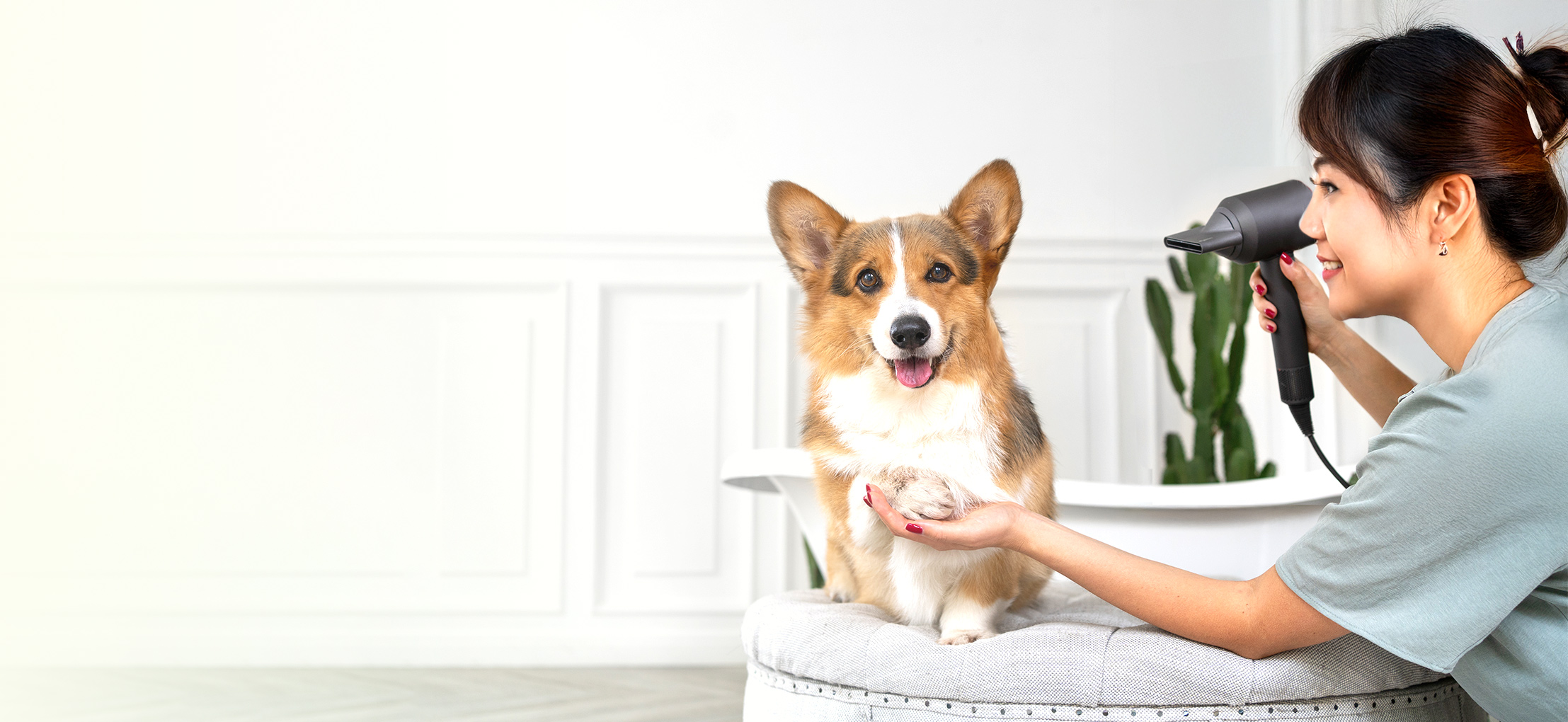 寵物店系統主圖